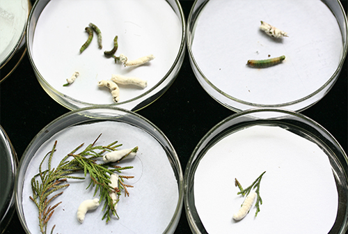 1729082517103405.jpg 未标题-3.jpg