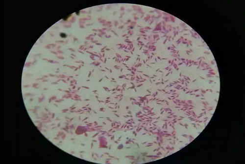 1729082664565867.jpg 02.jpg