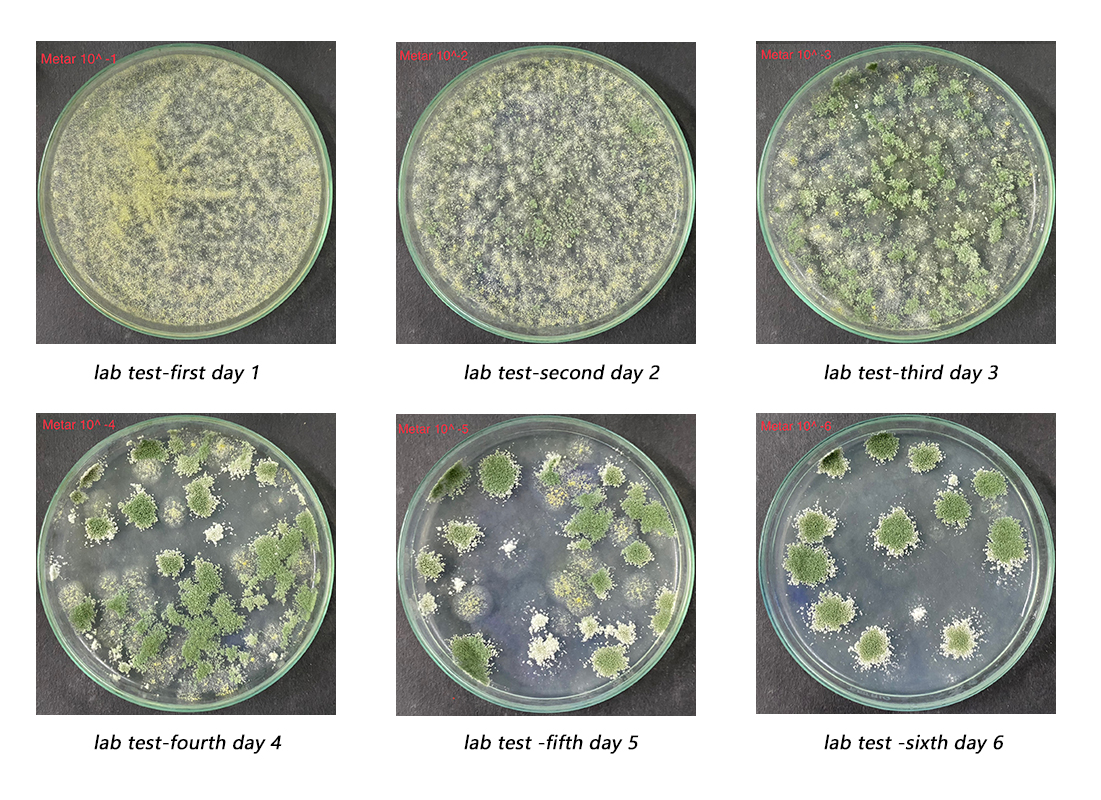 1729579980513885.jpg 未标题-1.jpg